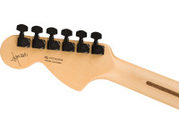 Fender Jim Root Jazzmaster Fender Jim Root Jazzmaster